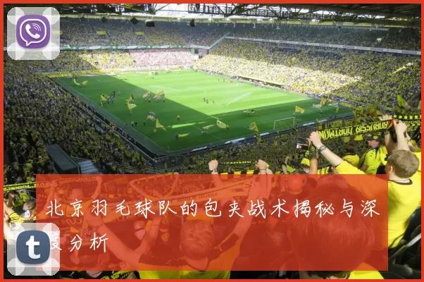 北京羽毛球队的包夹战术揭秘与深度分析